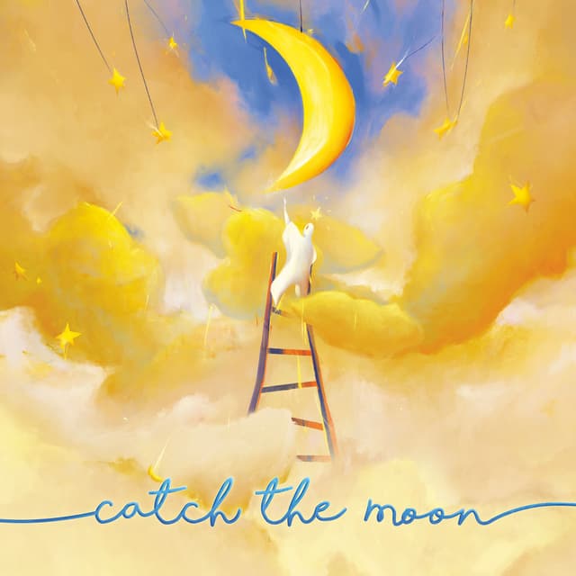 Portada juego de mesa Catch the Moon