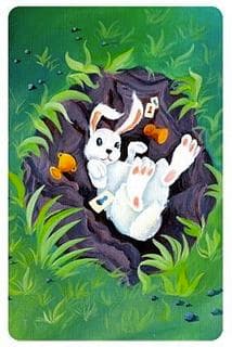 Portada juego de mesa Dixit: Odyssey – "Bunny" Promo Card